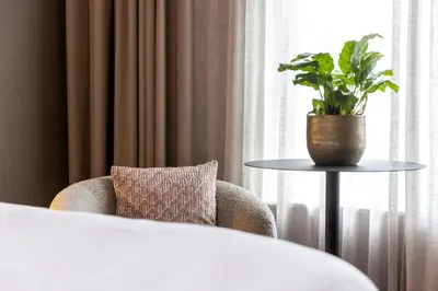 a plant sitting on a table next to a chair at Breathe Boutique Hotel in Leiden