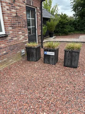 three planters with plants in them sitting in front of a building at B&B 'Op Eemdijk' in Eemdijk
