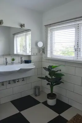 a bathroom with two sinks and a potted plant at Spacious Comfort Villa Vera with hottub in Zeewolde