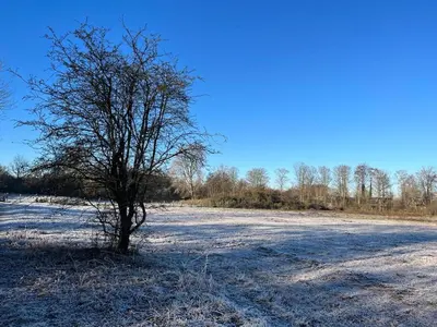 a tree in the middle of a snow covered field at Vakantiewoning aan Zee - 150m van het Strand in Egmond aan Zee