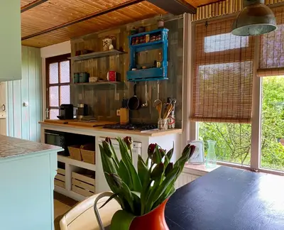 a kitchen with a table with a plant in a vase at Casa Calida in Warmenhuizen