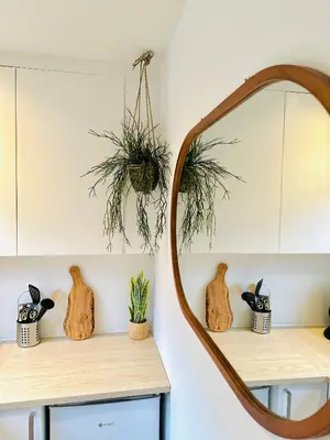 a mirror on a shelf with plants on it at Wellness at Sea in Egmond aan Zee