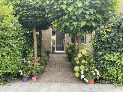 a walkway leading to a door with plants and flowers at The East Wing Bloemendaal in Bloemendaal