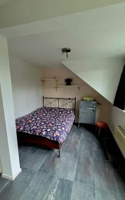 a small bedroom with a bed and a desk at Villa in the forest of Amsterdam with Pool in Velsen-Zuid
