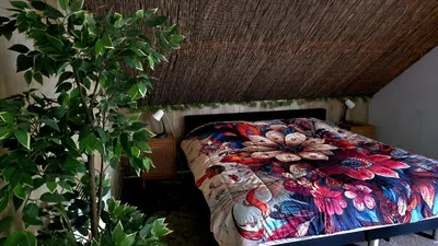 a bedroom with a bed with a colorful blanket at Villa in the forest of Amsterdam with Pool in Velsen-Zuid