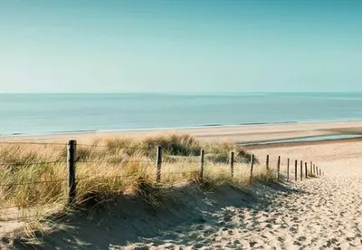 a fence on a sandy beach near the ocean at La Siesta Noordwijk Zee in Noordwijk