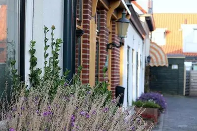 a garden with purple flowers next to a building at Gelijkvloers Vakantieappartement 150m van Strand Egmond aan Zee in Egmond aan Zee