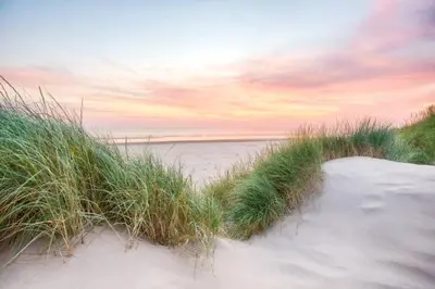 a beach with tall grass and a path in the sand at Gelijkvloers Vakantieappartement 150m van Strand Egmond aan Zee in Egmond aan Zee