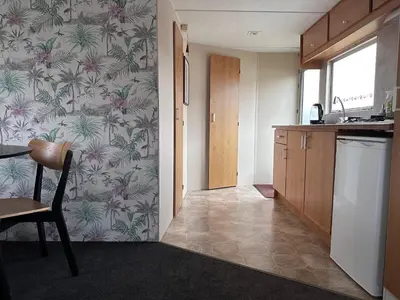 a kitchen with a wallpaper with palm trees on it at Retro Stacaravans in Warmond