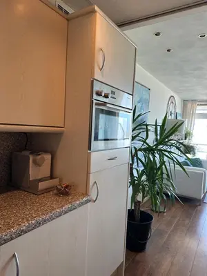 a kitchen with a white refrigerator and a plant at Apartment Fleurette in Zandvoort