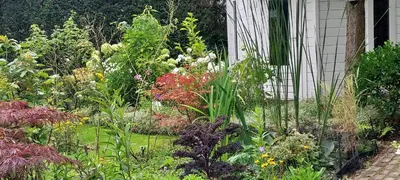 a garden with many different types of flowers at Studio Dajan in Almere