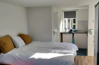 a bedroom with a large bed in a room at Studio Dajan in Almere