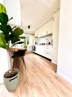 a kitchen with white cabinets and a potted plant at Cozy family house with spacious garden in the nature near Amsterdam in Vijfhuizen