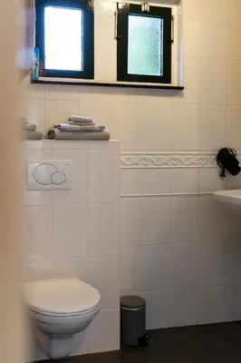 a white bathroom with a toilet and a sink at De oude walnoot in Sint Pancras