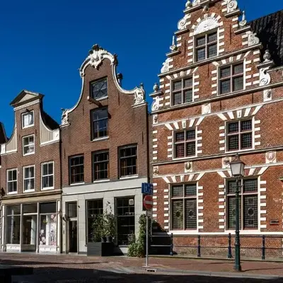 De Ginkgo in het hart van Hoorn
