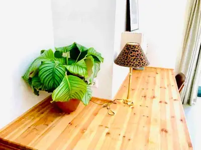 a room with a table and a plant and a lamp at 30 steps to sand.. Light and spacious family villa in Zandvoort