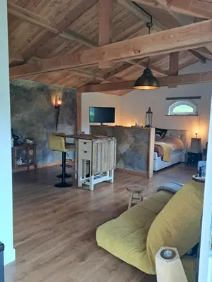 a bedroom with a bed and a desk in a room at Het Buitenleven in Spaarndam