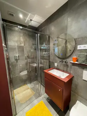 a bathroom with a shower and a sink and a mirror at Bed & Breakfast Danina in Sassenheim