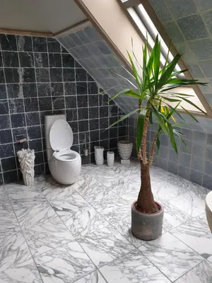 a bathroom with a toilet and a potted plant at Landlust in Purmerend