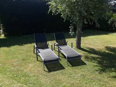 two chairs sitting in the grass next to a tree at Gastehuisie Lekkerslaap in Zeewolde