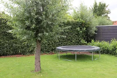 a tree sitting next to a table next to a tree at Gastehuisie Lekkerslaap in Zeewolde
