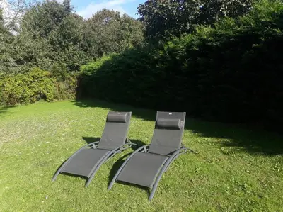 two chairs sitting in the grass in a field at Gastehuisie Goedemoed in Zeewolde
