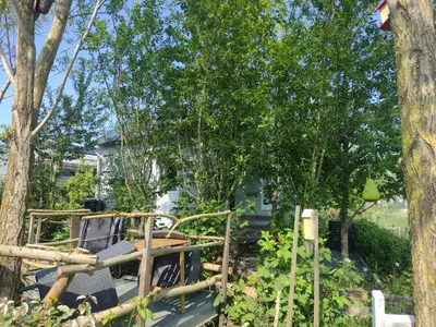 a truck parked in a yard next to trees at Tuinhuisje in het groen in Almere