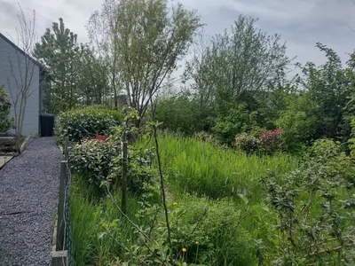 a garden with a fence and grass and flowers at Tuinhuisje in het groen in Almere