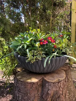 a large pot of flowers sitting on a tree stump at De Lijster in Bergen