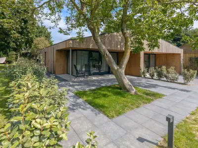 a house with a tree in front of it at De Duinlopers - Studio appt Bries - Strand, duinen en nabij cultuur steden in Castricum