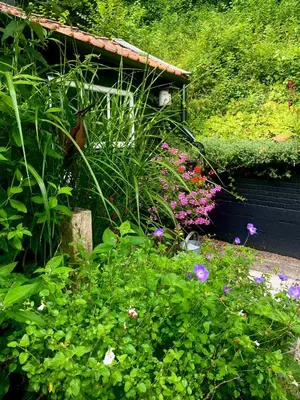 a garden with many different flowers and plants at Zandrijk in Egmond aan den Hoef